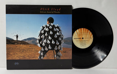 Pink Floyd- Delicate sounds of thunder 2LP
